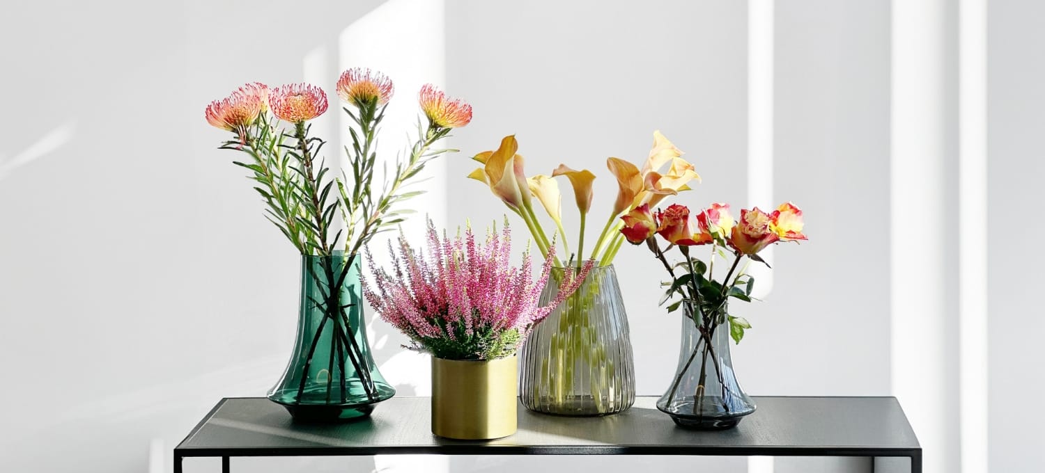 Flowers and plants 