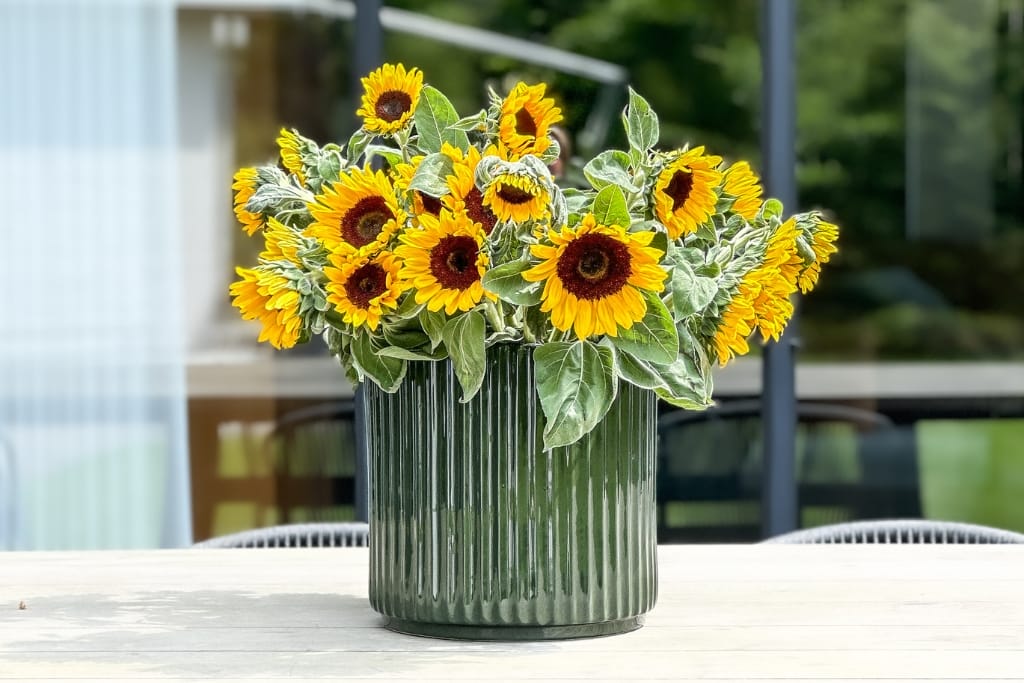 Ikon pot