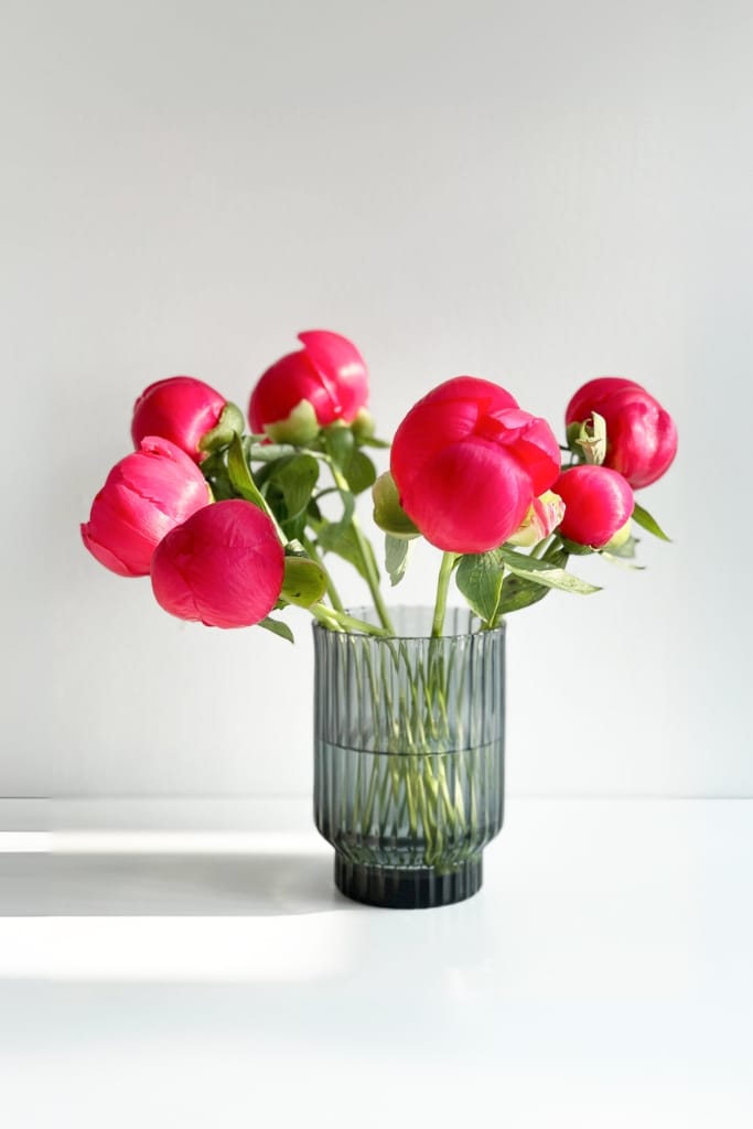 Volta vase