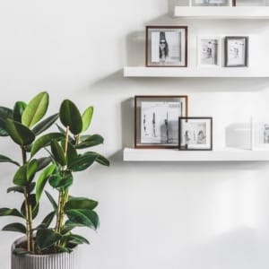 LOOKBOOK FLOATING BOX