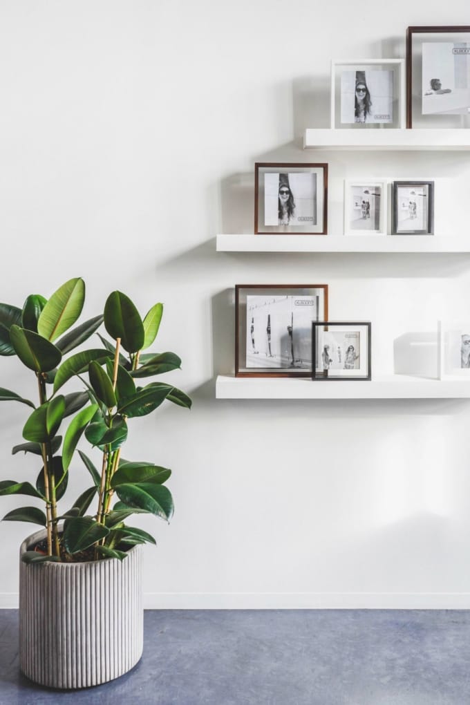 LOOKBOOK FLOATING BOX