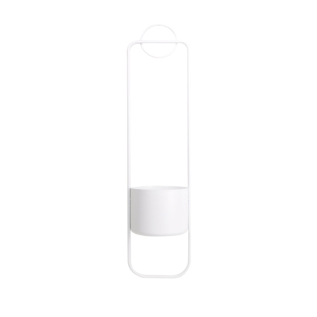 Sonar white