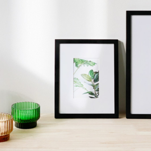 Vitro frames volta