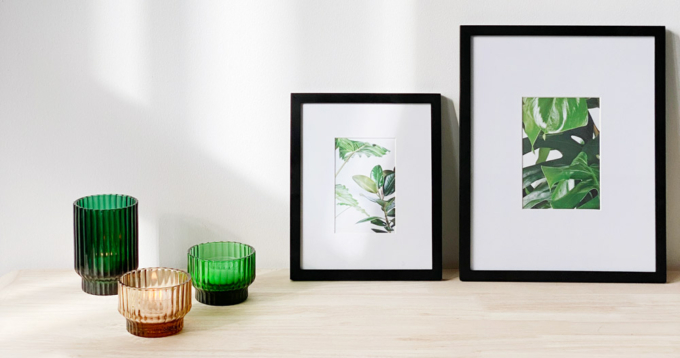 Vitro frames volta