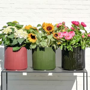 Ikon pot maroon, green and black