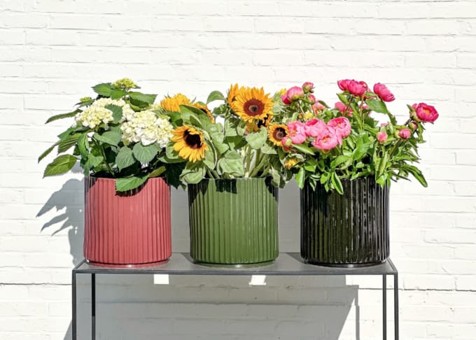 Ikon pot maroon, green and black