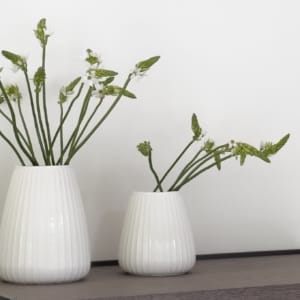 Dim vases cream
