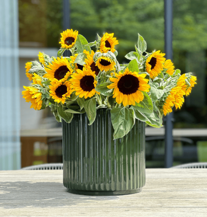 Ikon pot green